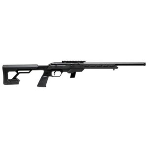 Savage Arms 64 Precision .22LR For Sale