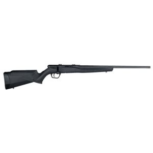 Savage Arms B17 F 17 HMR For Sale