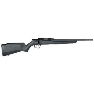 Savage Arms B17 FV-SR 17 HMR For Sale