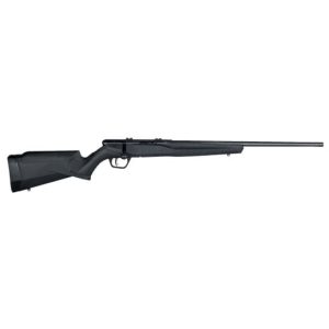 Savage Arms B22 Magnum F 22 WMR For Sale