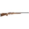 Savage Arms Model 25 Lightweight Varminter-T For Sale